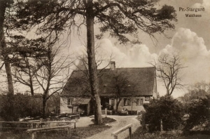 Starogard Leśniczówka - Reprodukcja 6503