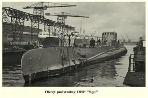 ORP "Sęp" - Reprodukcja 6585