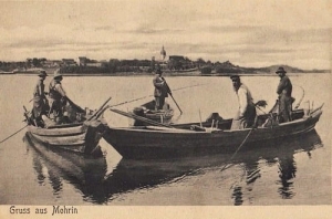 Moryń jezioro - Reprodukcja 6713