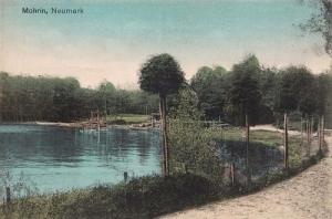 Moryń jezioro - Reprodukcja 6715