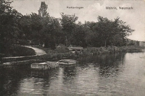 Moryń jezioro - Reprodukcja 6714