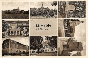 Mieszkowice widokowa - Reprodukcja 6707