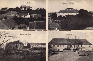 Cedynia widokowa -Reprodukcja 6659
