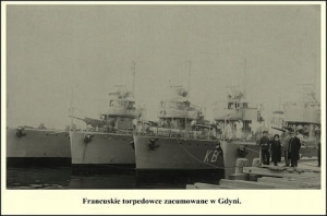 Torpedowce -Reprodukcja 6811
