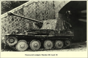 Niszczyciel czołgów - Reprodukcja 6894