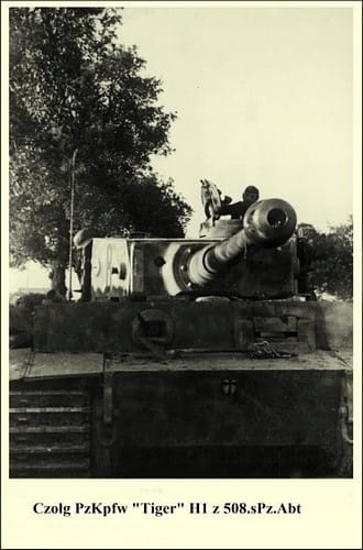 7930915694