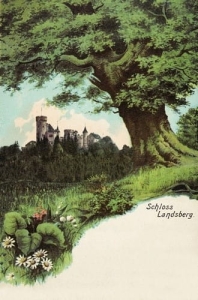 Ladsberg Zamek - Reprodukcja 6899