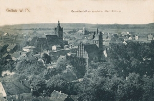 Golub panorama - Reprodukcja 6950
