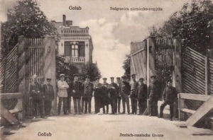 Golub Nadgranica - Reprodukcja 6955
