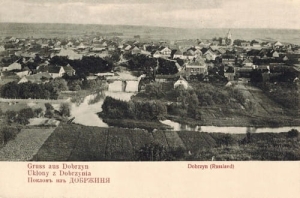 Golub panorama - Reprodukcja 6963