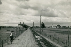 Pińsk Panorama - Reprodukcja 3279