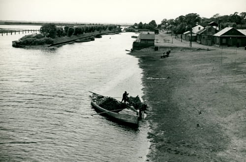 nowe-3275.jpg