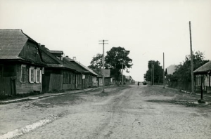Pińsk Karolin - Reprodukcja 3256