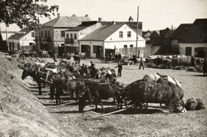 Pińsk Targ na siano - Reprodukcja 3296