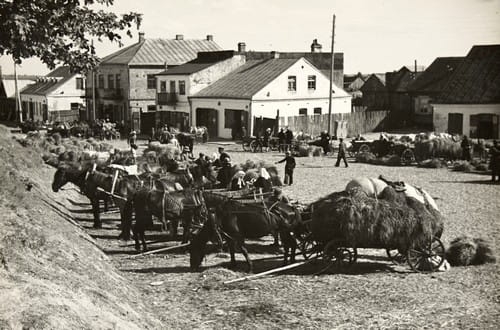 nowe-3296.jpg