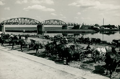 nowe-3273.jpg