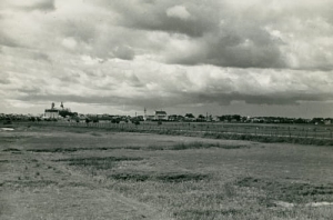 Pińsk Panorama - Reprodukcja 3276