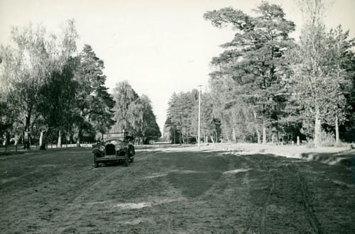 nowe-3281.jpg
