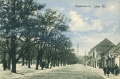 nowe-7118.jpg