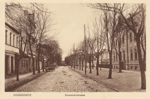 Wągrowiec ul. Gnieźnieńska - Reprodukcja 7139
