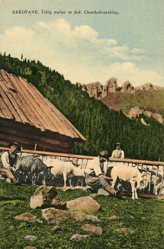 nowe-2445.jpg