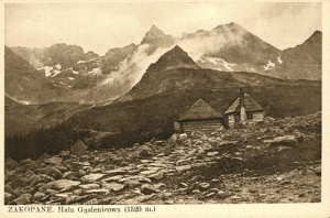 Zakopane Hala Gąsienicowa -Reprodukcja 2431