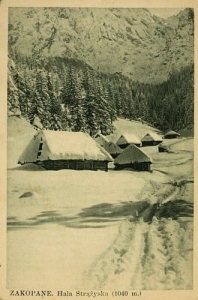 Zakopane Hala Strążyska -Reprodukcja 2430