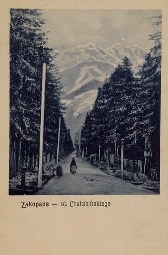 nowe-2535.jpg