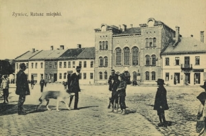 Żywiec Ratusz miejski - Reprodukcja 5151