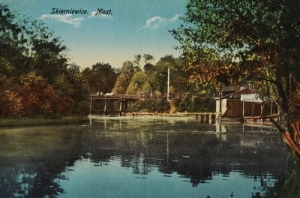 Skierniewice Most - Reprodukcja 5261
