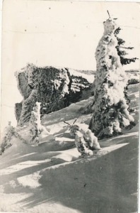 Beskid Śląski  01738