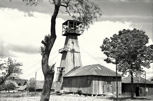 nowe-15906.jpg