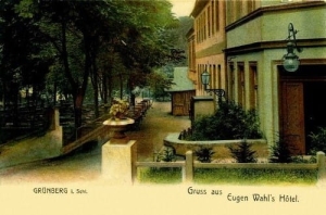 Zielona Góra Hotel -Reprodukcja 1626