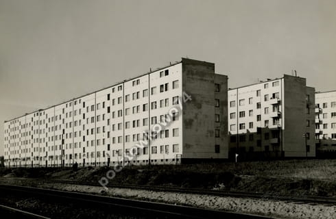 7113961753_1