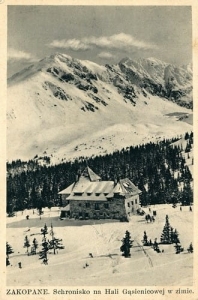 Zakopane Hala Gąsienicowa -Reprodukcja 2434
