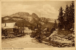 Zakopane Żywczańskie -Reprodukcja 2502