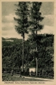 nowe-2433.jpg