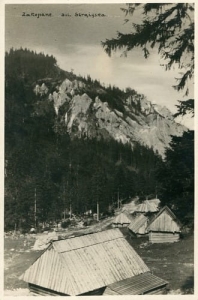 Zakopane dol. Strążyska -Reprodukcja 2425