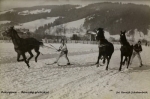 Zakopane zawody -Reprodukcja 2541