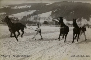 Zakopane zawody -Reprodukcja 2541