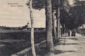 Darłowo Szosa - Reprodukcja 7203