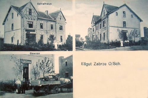 nowe-7355.jpg