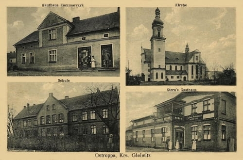 nowe-7356.jpg