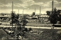 nowe-7368.jpg