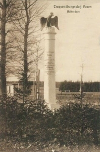 Biedrusko Poznań kolumna - Reprodukcja 7452