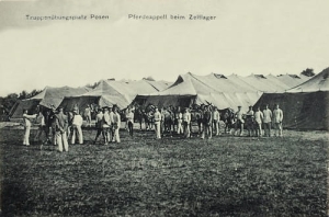 Biedrusko Poznań poligon - Reprodukcja 7463