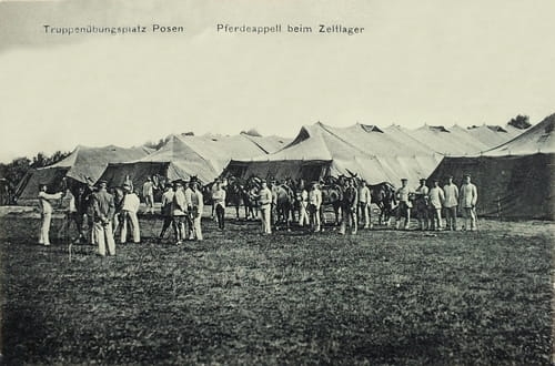 nowe-7463.jpg