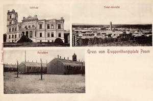 Biedrusko Poznań widoki - Reprodukcja 7472