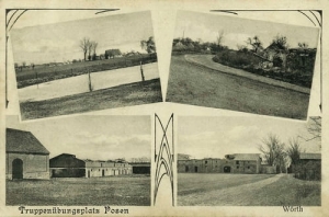 Biedrusko Poznań - Reprodukcja 7481