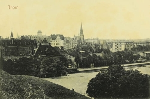 Toruń Panorama - Reprodukcja 7489